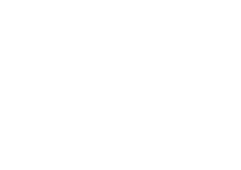 Williams Performance